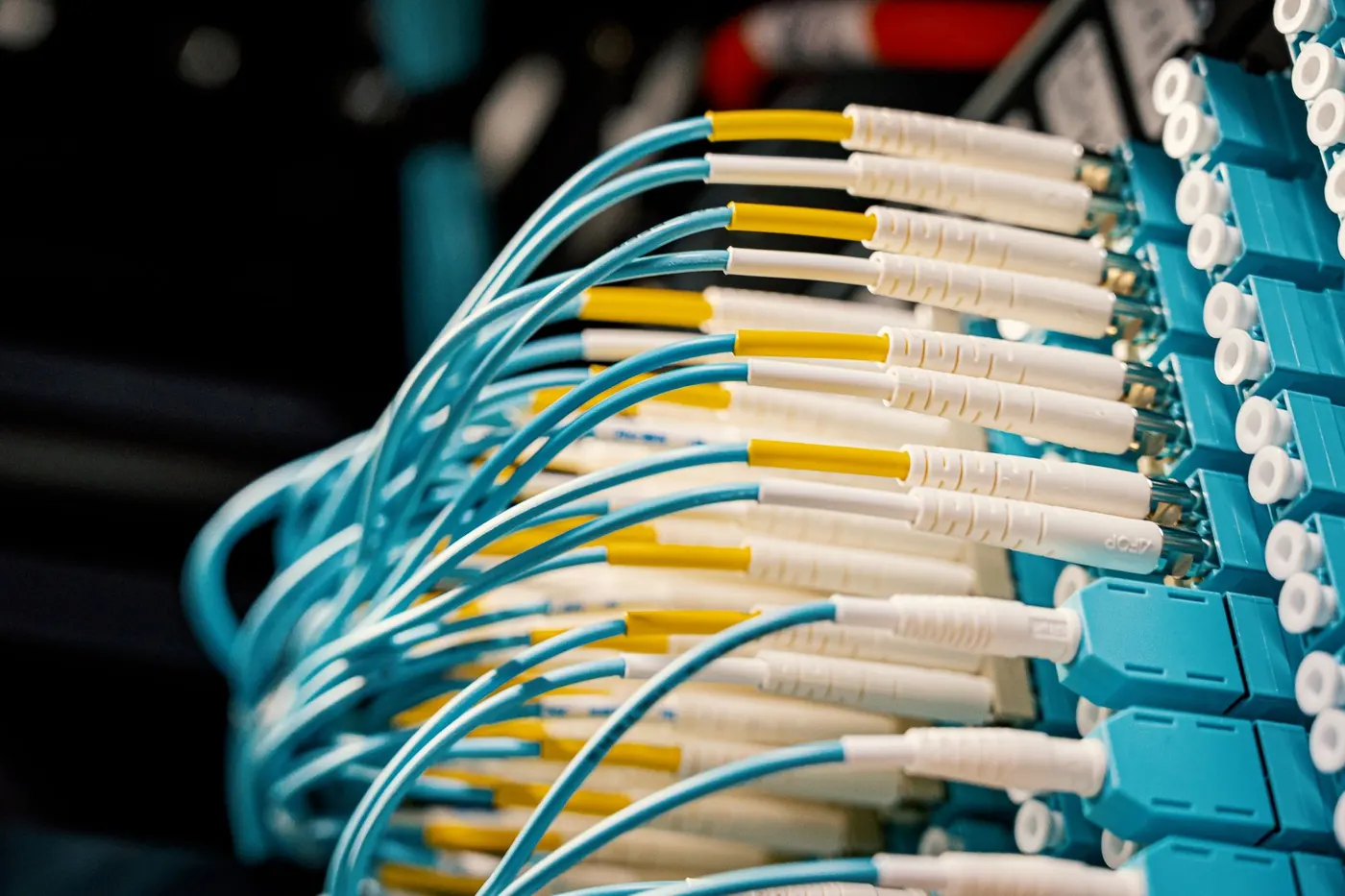 Fiber patch cords connected to a distribution panel